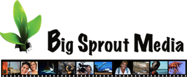 bigsproutmedia.com